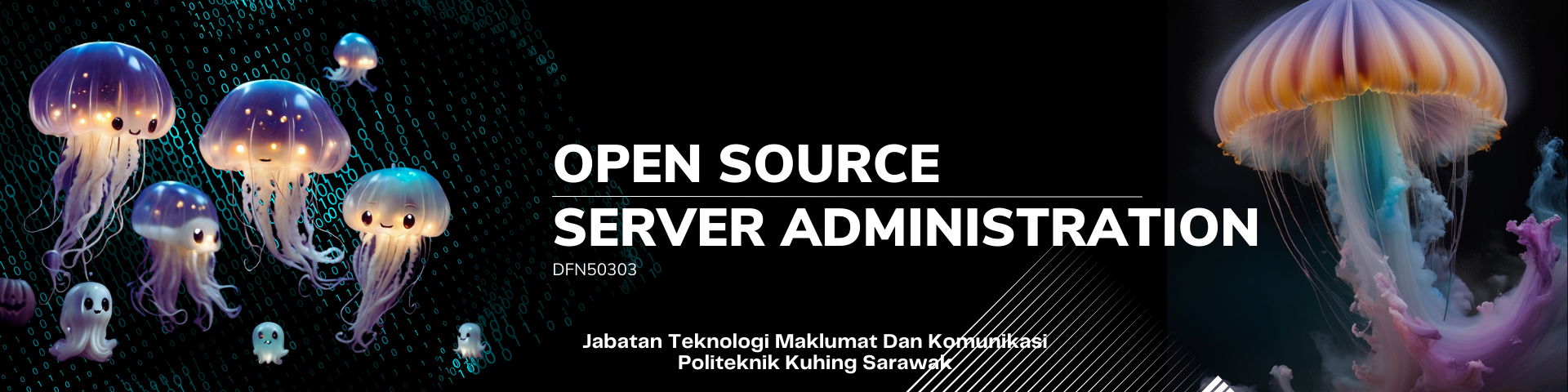 DFN50303 OPEN SOURCE SERVER ADMINISTRATION